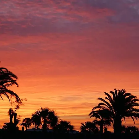 Apartment Garden Costa Adeje 1 Bedroom Large Balcony Close To Playa de las Americas (Tenerife)