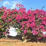 Garden Costa Adeje 1 Bedroom Large Balcony Close To Lejlighed